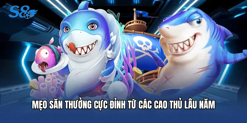 Bắn Cá Long Vương - Săn Thưởng Đại Dương Đỉnh Cao Tại S8 Mẹo săn thưởng cực đỉnh từ các cao thủ lâu năm